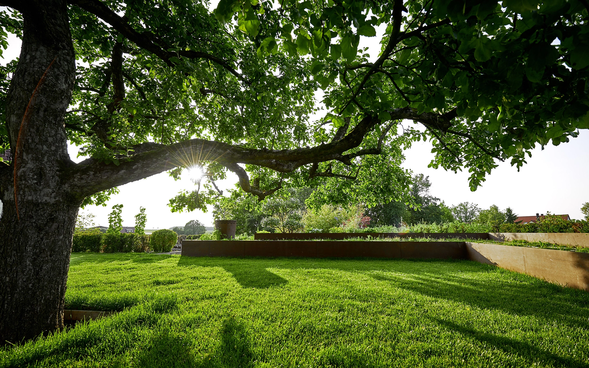Frei Raum Garten - Baum - Excudit | Kulturmagazin für Nürnberg und die Metropolregion